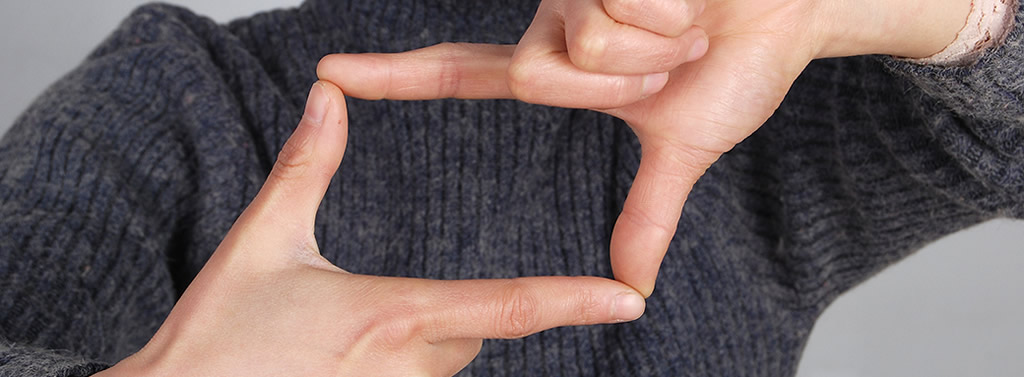 Portuguese Sign Language